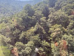 -安徽天堂寨风景区