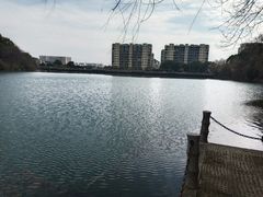 -杭州半山国家森林公园