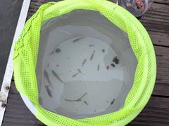 -星巴克(成都科学城店)