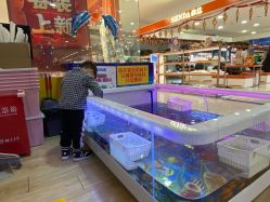 -贝悠悠(华宇时尚店)