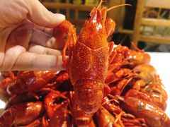 -可可大虾武汉土菜大排档(万松园1店)