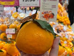 -AEON永旺(东方宝泰店)