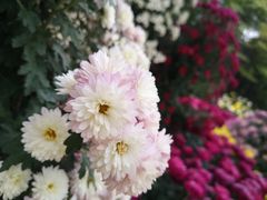 -上海市龙华烈士陵园