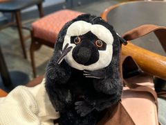-ZOO COFFEE动物园咖啡(红山森林动物园店)