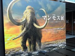 -日本科学未来馆