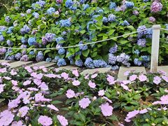 -沈阳植物园