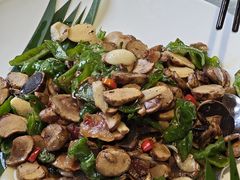 -银生食府·普洱菜(金星店)