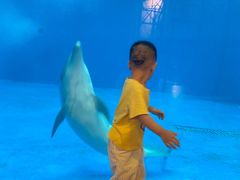 -华夏文旅海洋公园