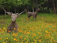 -北京西山国家森林公园