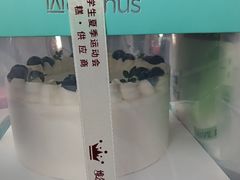 -维尔纳斯·生日蛋糕·动物奶油冰淇淋蛋糕(六里桥店)