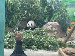-临沂动植物园
