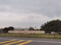 -西京湾花海