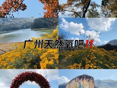 -广州市石门国家森林公园