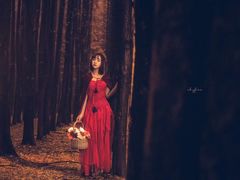 -铁山坪森林公园