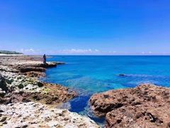 -龙坑生态保护区