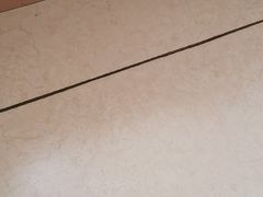 -濠轩阁特色生蚝火锅(水湾路店)