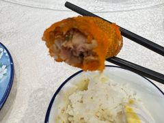 -丁老爷子苏香圆
