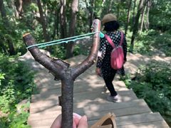 -大岭沟猕猴桃谷风景区