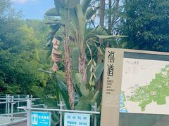 -福道
