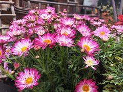 -中国天府农业博览园