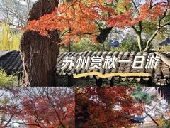 -拙政园