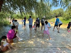 -绿堤公园