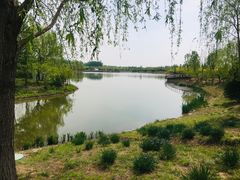 -东郊湿地公园
