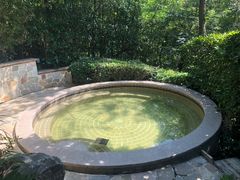 -天目湖涵田半山温泉