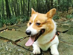 -杭州半山国家森林公园