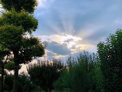 -野鸭湖国家湿地公园