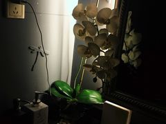 -Dragonfly悠庭·按摩Spa(浦东嘉里城店)