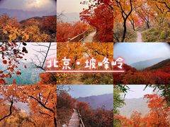 -周口店坡峰岭风景区