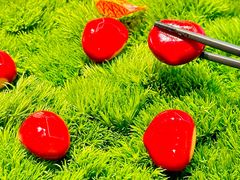 -滩外滩·本帮江浙菜(新天地店)
