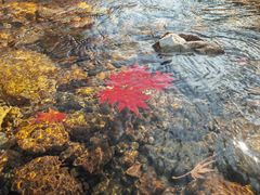 -本溪老边沟风景区