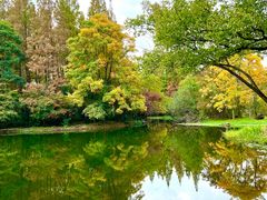 -上海共青森林公园