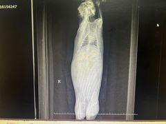 -北京观赏动物医院·24小时大型综合·猫专科·异宠专科