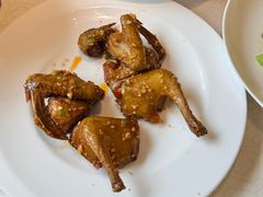 -大鸽饭(岗顶店)