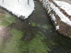 -水磨沟公园