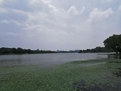 -长广溪湿地公园