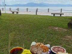 -深圳湾公园(南山区)