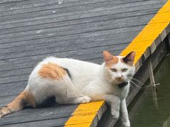 -牛串门串串香(东直门簋街总店)