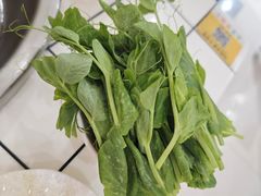 -海关荤豆花(洋河一路店)