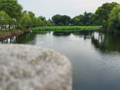 -无锡蠡湖国家湿地公园-蠡园