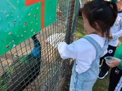 -前小桔亲子创意农场·草莓采摘·露营烧烤