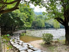-顺峰山公园