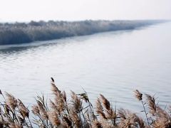 -大港湿地公园