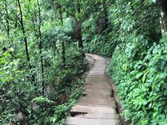 -青城山