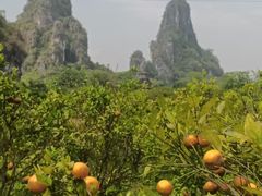 -荔江湾景区