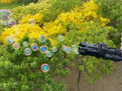 -天津东丽湖风景区