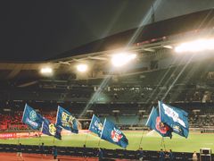 -南京奥林匹克体育中心-体育馆